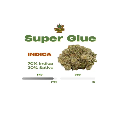 Super Glue (1).webp