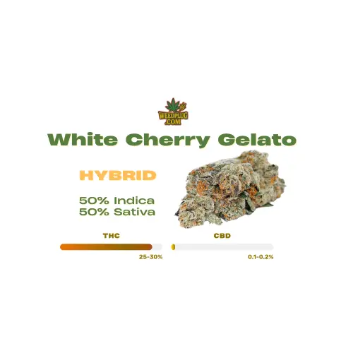 White Cherry Gelato.webp