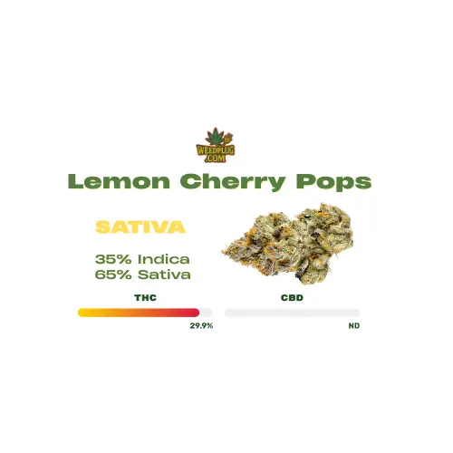 Lemon Cherry Pops.webp