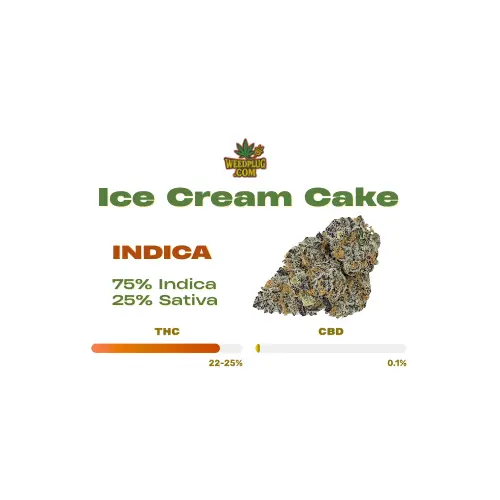 Ice Cream Cake.webp