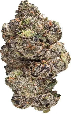 Gelato Candy.webp