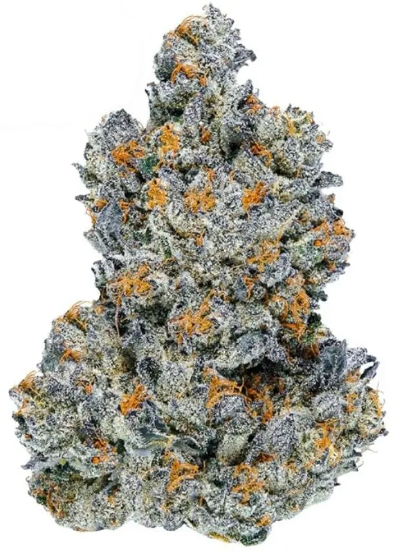 Lemon Cherry Gelato.webp
