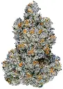 Lemon Cherry Gelato.webp