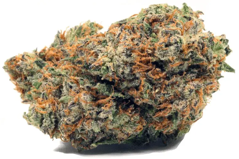 Killer OG.webp