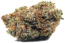 Killer OG.webp