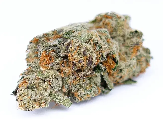 White Cherry Gelato.webp