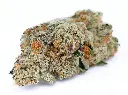 White Cherry Gelato.webp