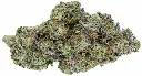 Pink Runtz.webp