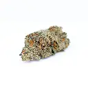 White Cherry Gelato