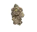 Gelato Candy