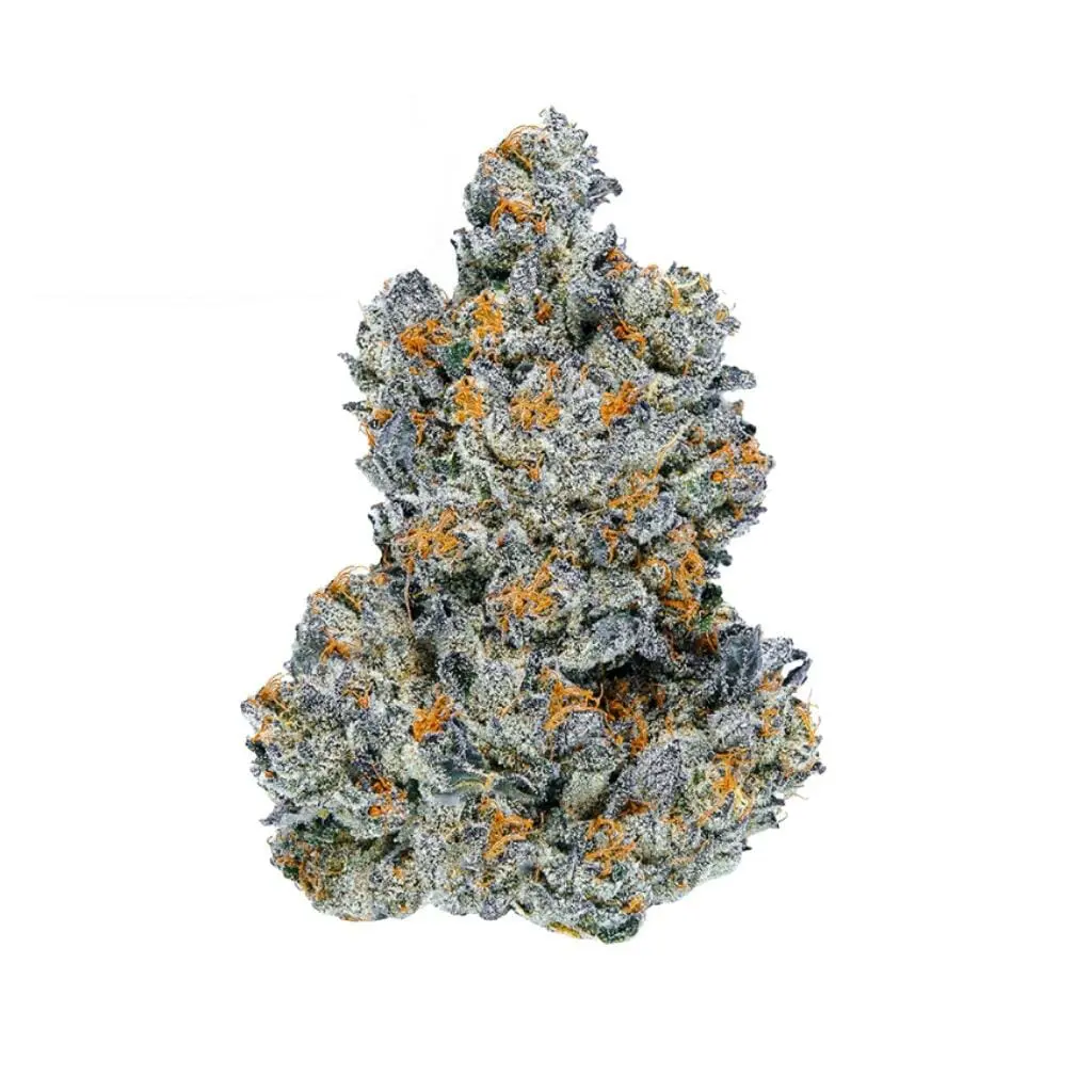Lemon Cherry Gelato