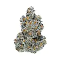 Lemon Cherry Gelato