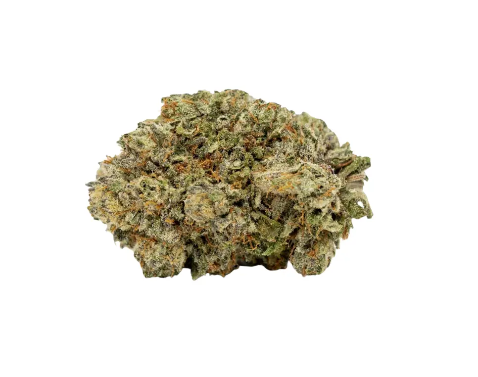 Super Glue