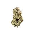 Gorilla Glue