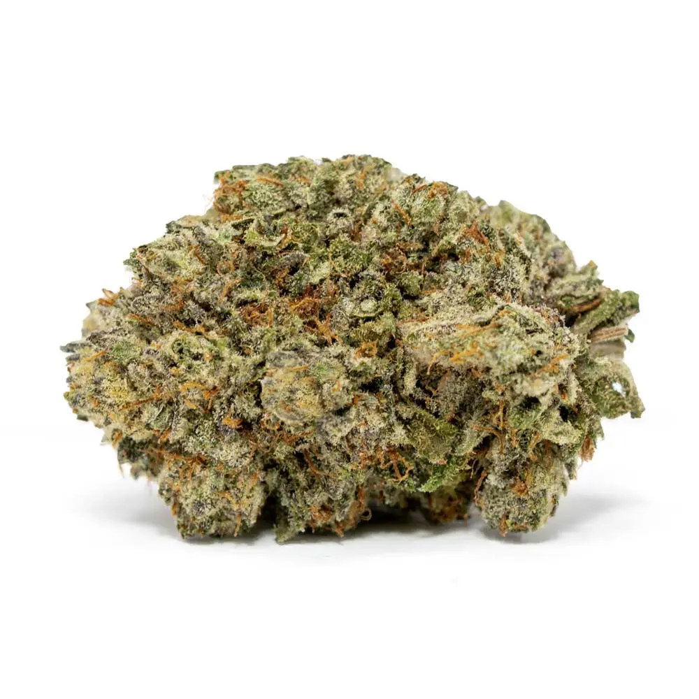 First 8th for FREE (Mrs.Greens)