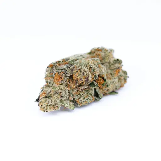 White Cherry Gelato