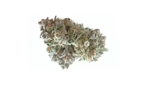 White Cherry Sherbet